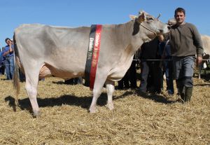 140923Einsiedeln 082